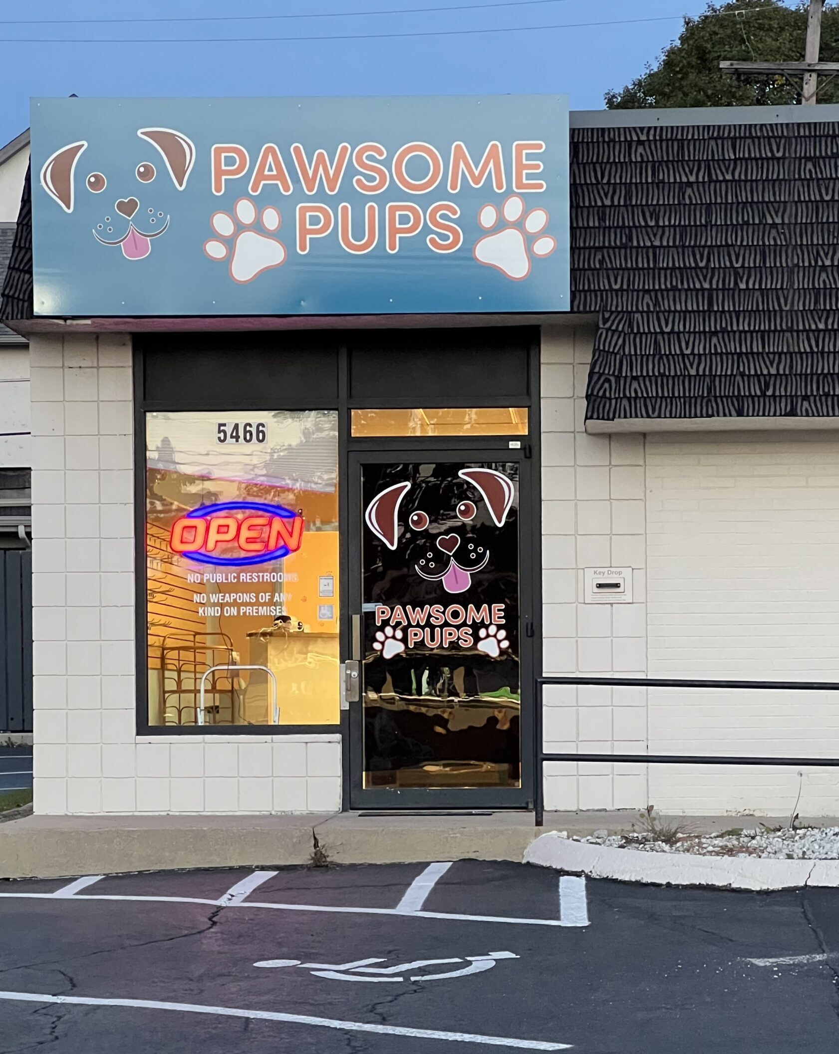 pawsome pups storefront
