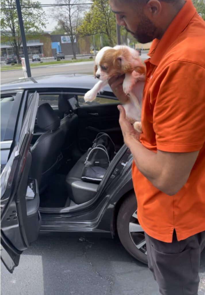 a man holding a puppy and standing near a car